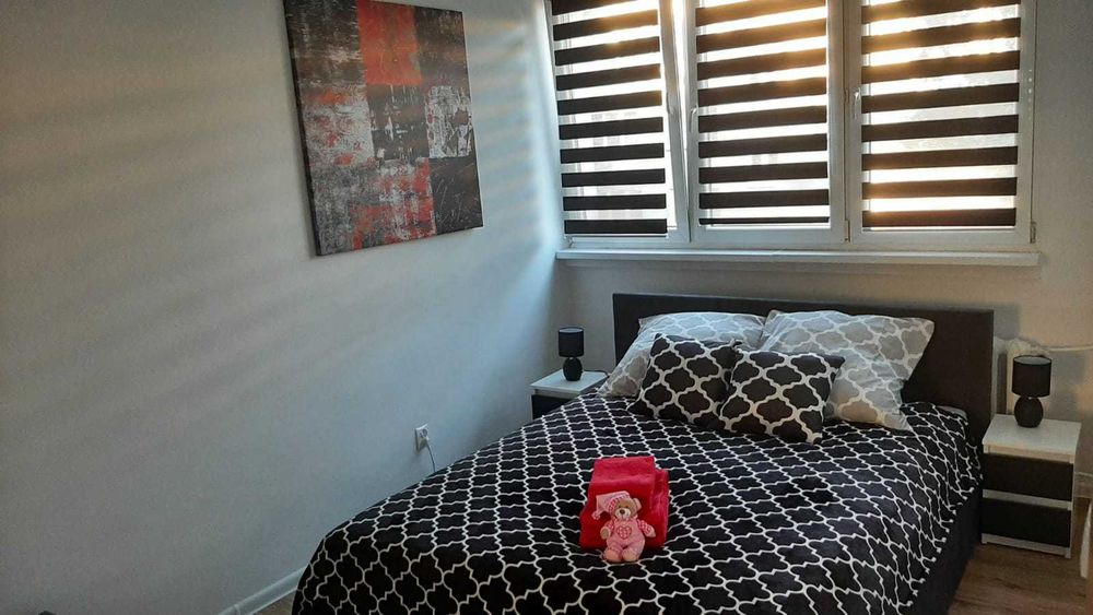 Mieszkanie, apartament - wynajem krótkoterminowy