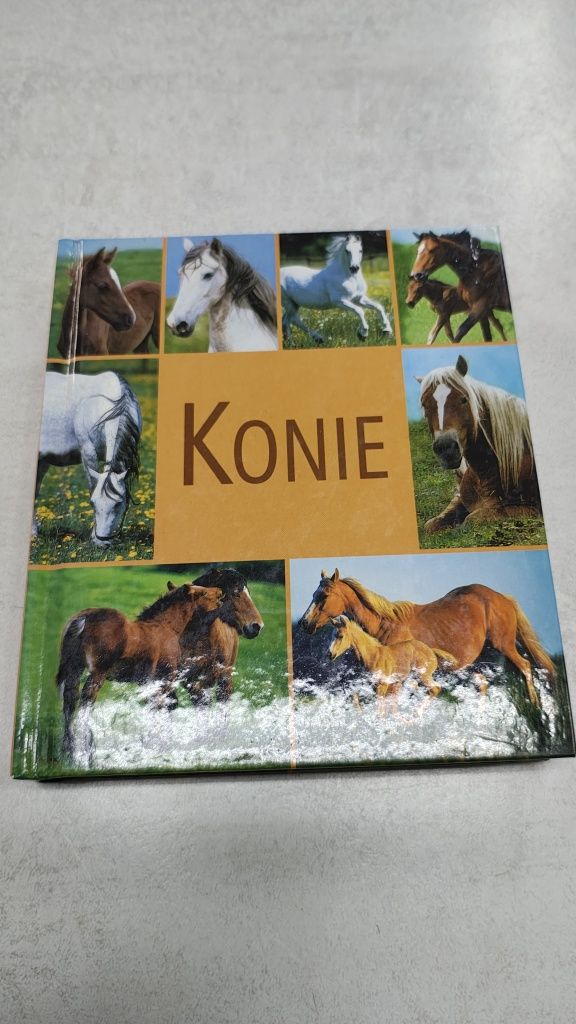Konie. Przekład: Joanna Krzaczyńska