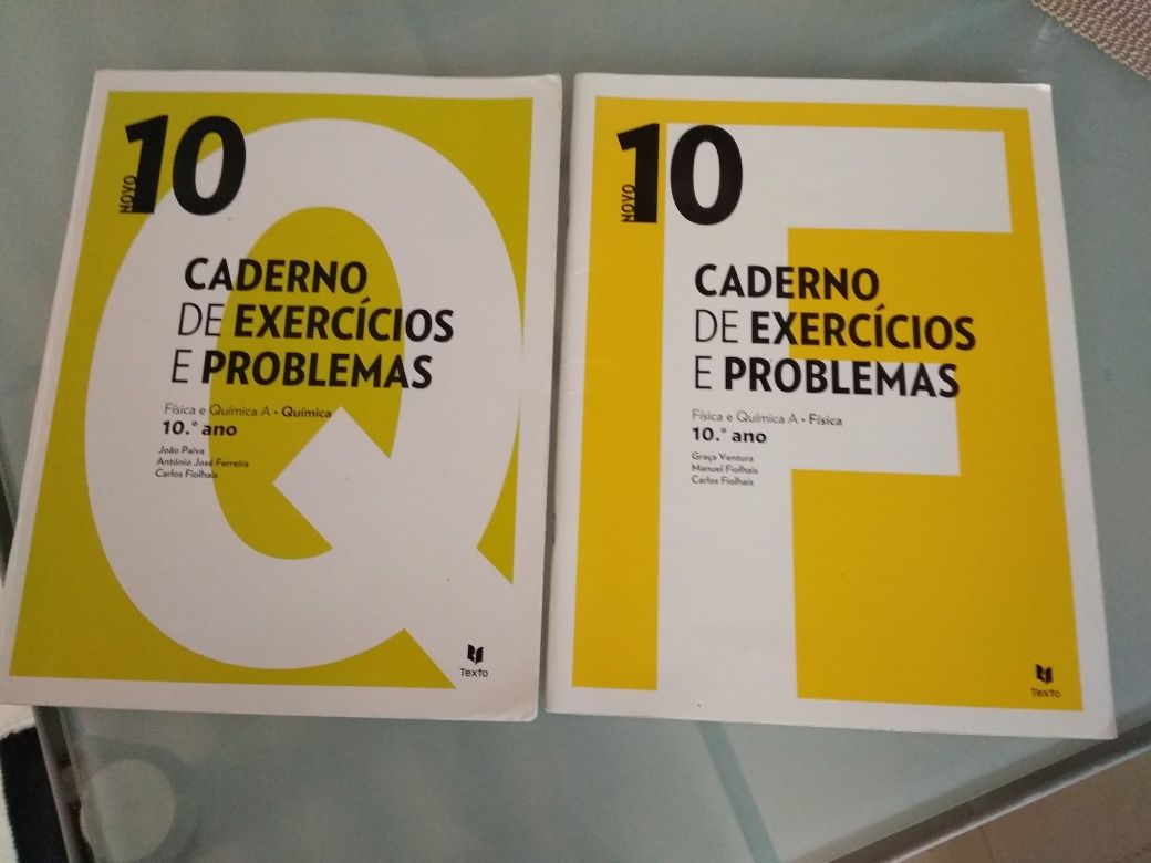 Novo 10, cadernos de atividades física e química, 10 ano