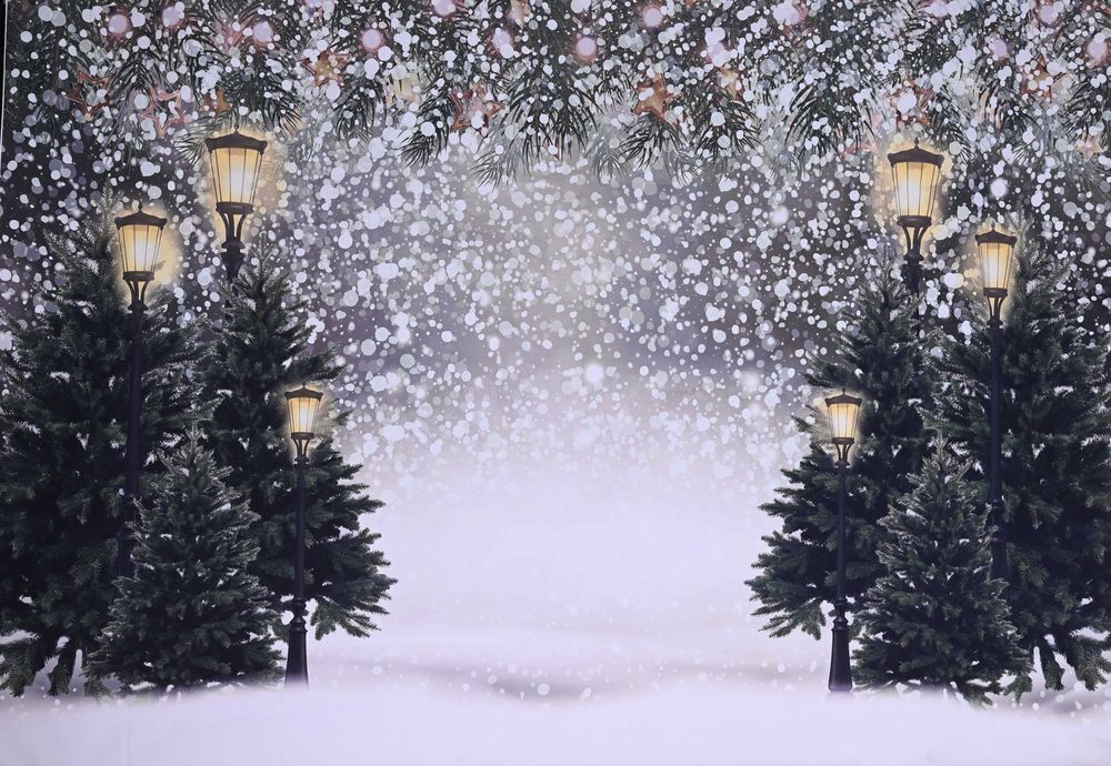 Fundo Fotográfico Natal