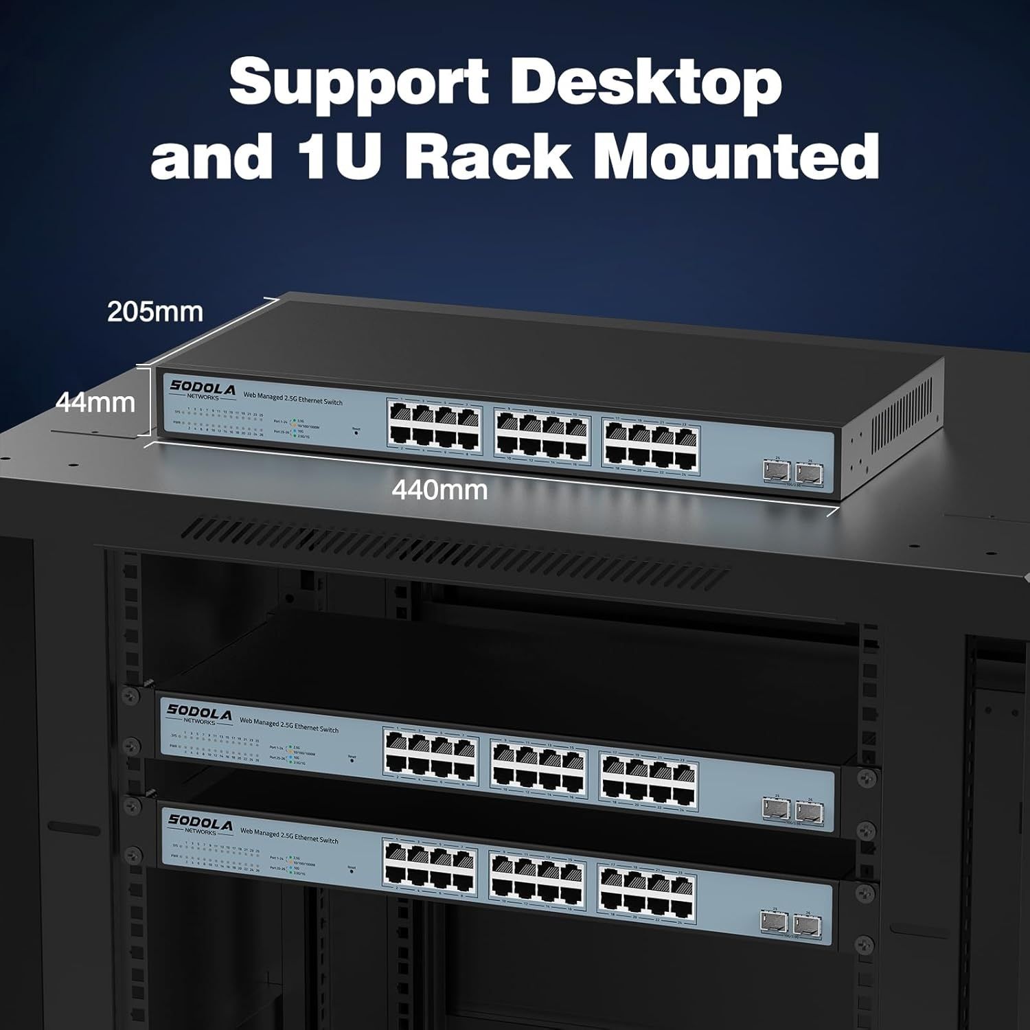 24 port 2.5 g switch
