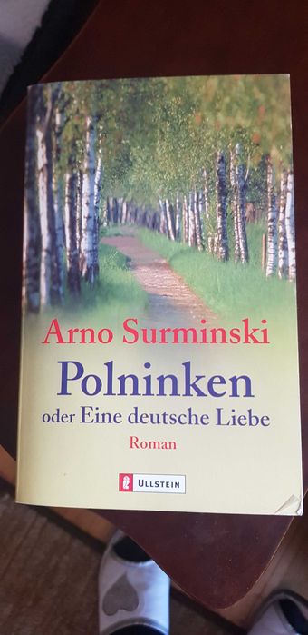 Ksiazka Polninken oder Eine deutsche Liebe