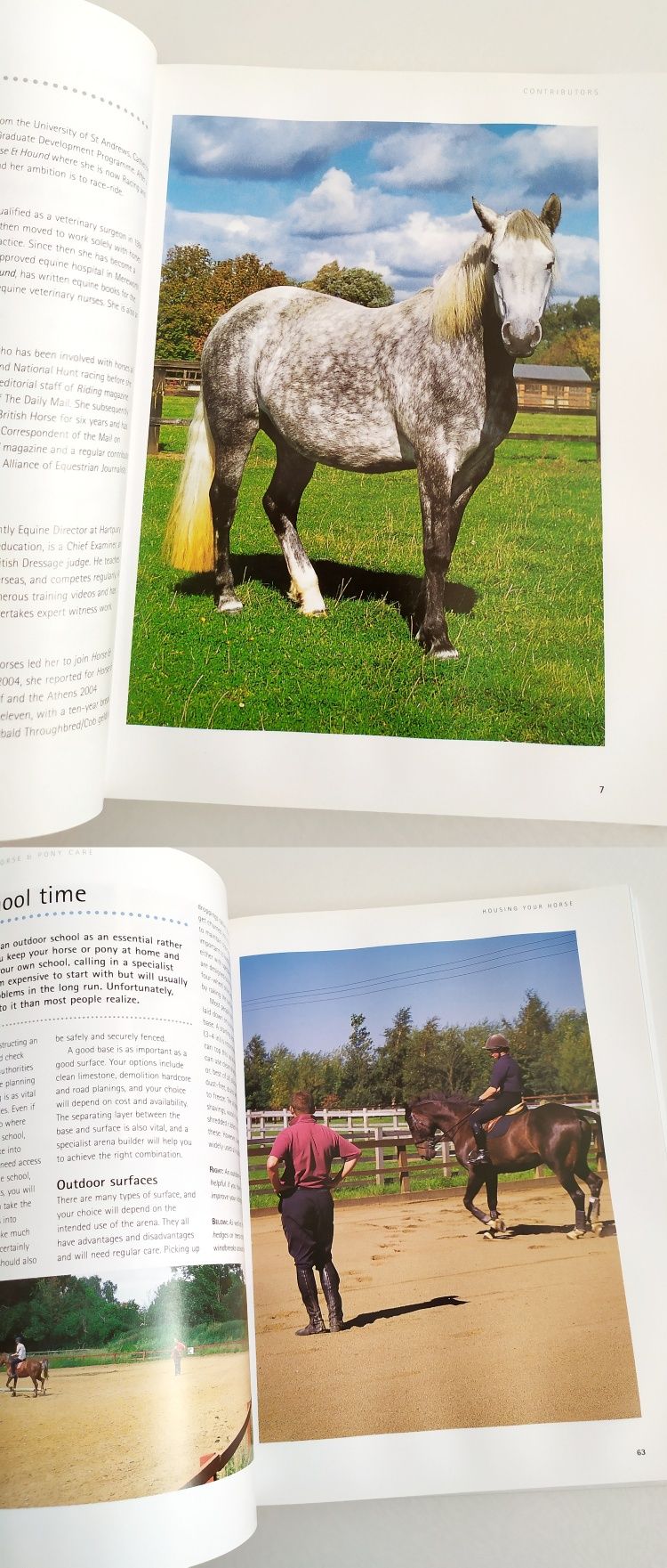 ЛОШАДЬ и Пони Руководство по уходу Complete Horse and Pony Care