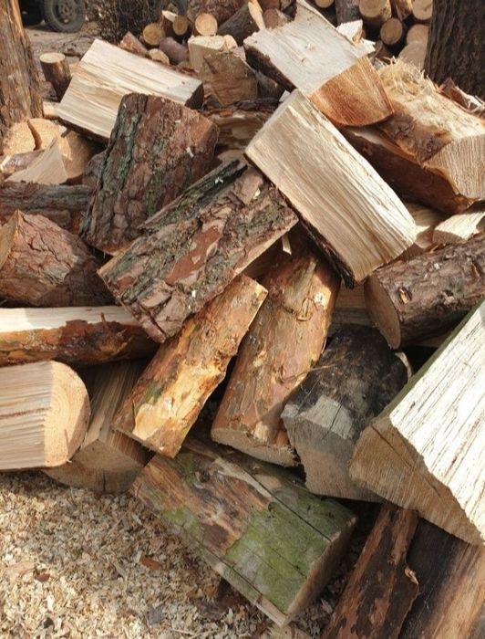 Sosna Drewno kominkowe brzoza sosna