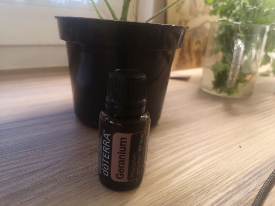 Olejek doterra geranium