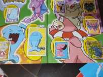 Conjunto do Pokémon