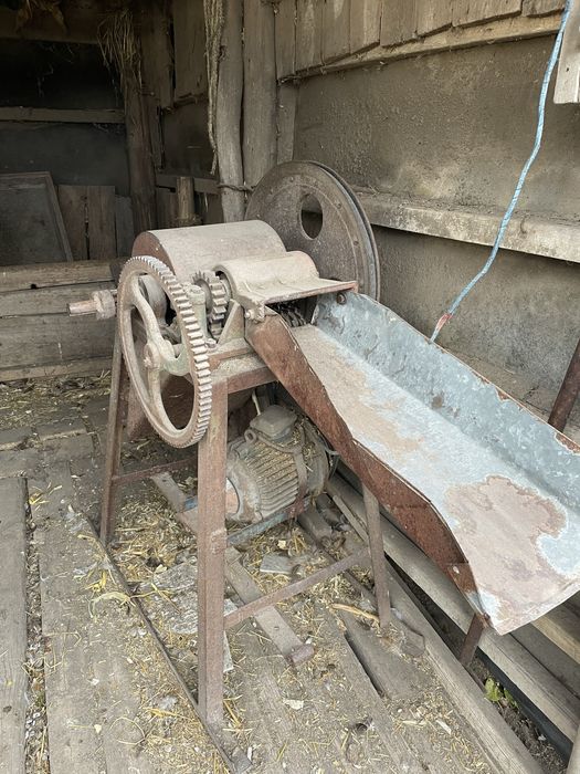 Соломо різка