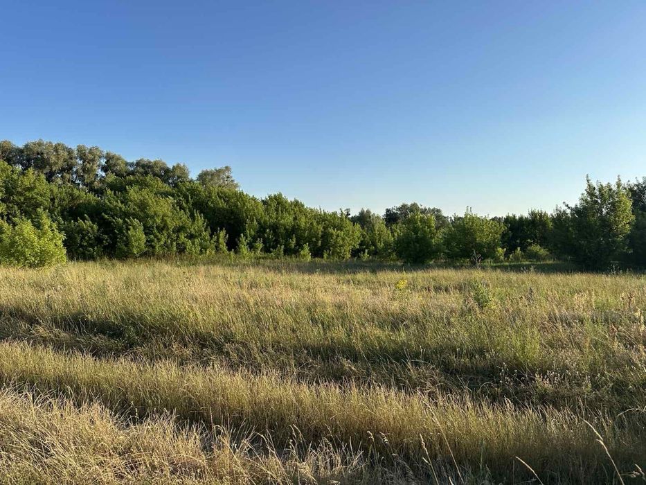 Продам земельну ділянку в с. Осиково