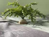 Exo Terra Boston Fern M — декоративное растение для террариума