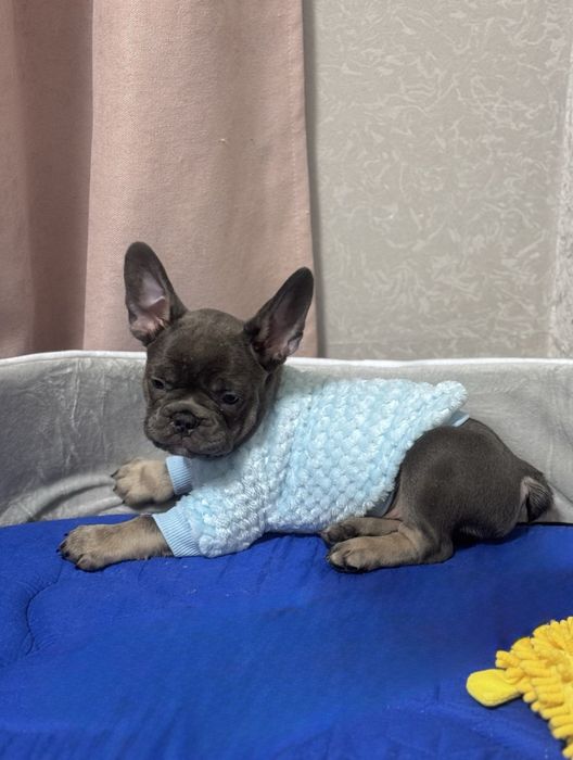 Хлопчик і дівчинка готові до переїзду