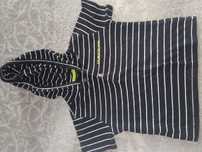 koszulka, tshirt Calvin Clein