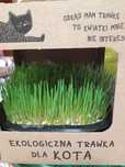 Trawa dla kota  ekologiczna