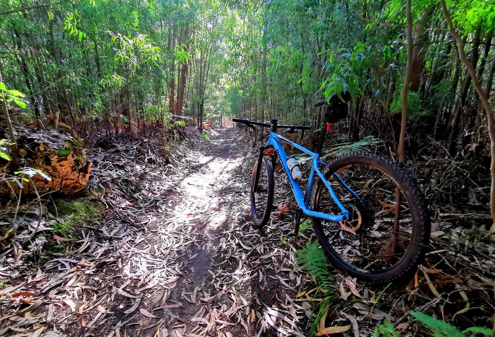 Bicicleta de Montanha Rockrider XC 500 / Pneus/Cassete/Correte, Novos