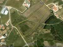 Terreno 18600 m2 Sobral de Monte Agraço