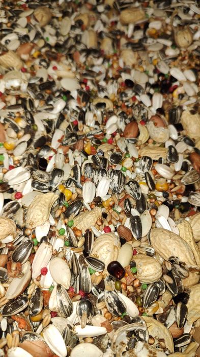 Karma dla Papug Dużych 10 kg Kampol