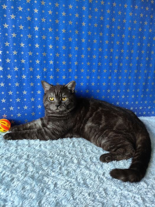 Мальчик чёрный дымчатый мрамор