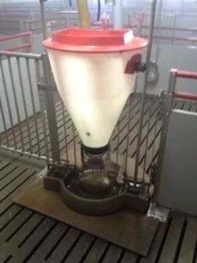 Automaty Paszowe Tubomaty Idealny Stan Nowy Model Karmniki Duńskie