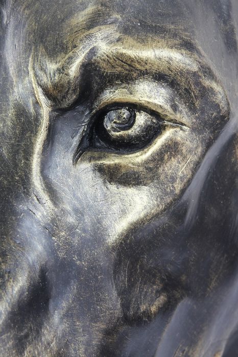 Doberman duża głowa z żywicy Art-Dog