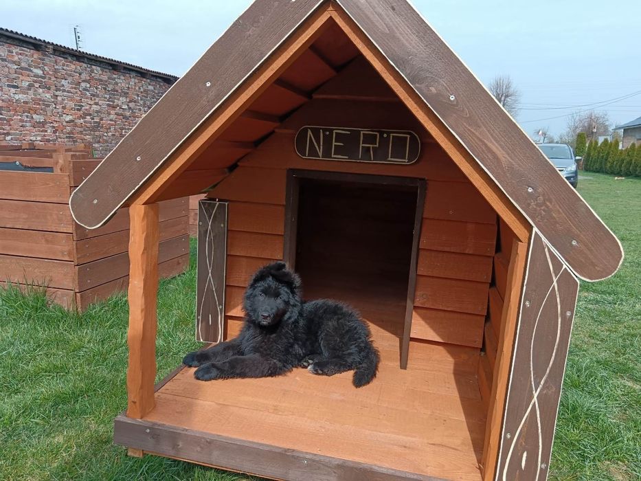 Buda dla psa z tarasem i oknem 180kg wysyłka cała PL