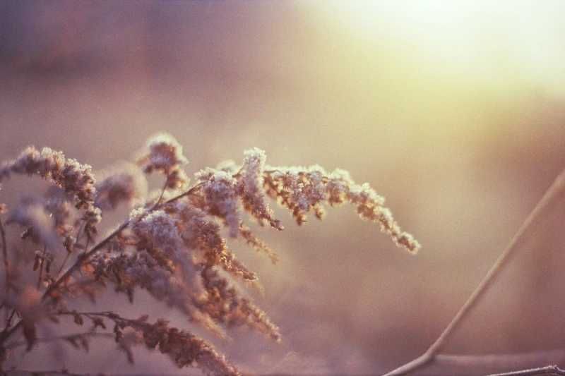 Pentacon Praktica MTL3 - testada a funcionar perfeitamente64284357198338123