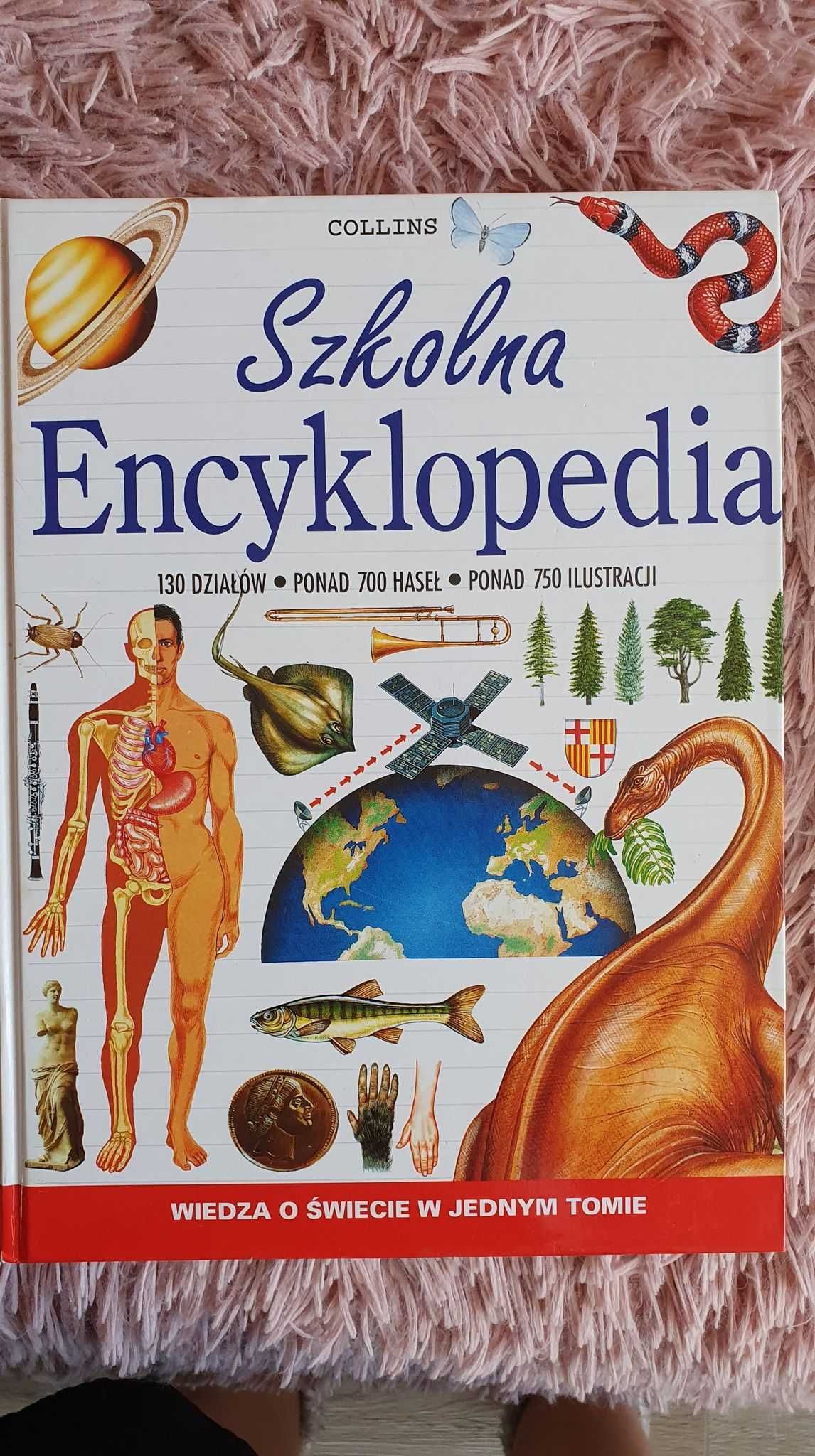 Encyklopedia szkolna