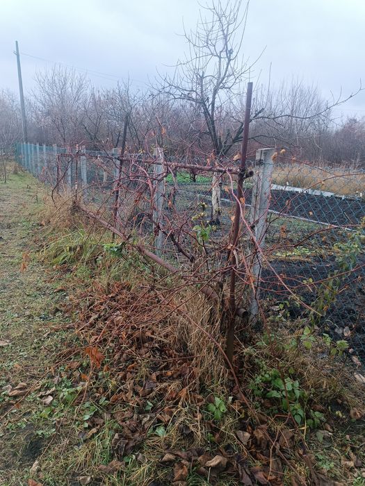 Дача в межах міста