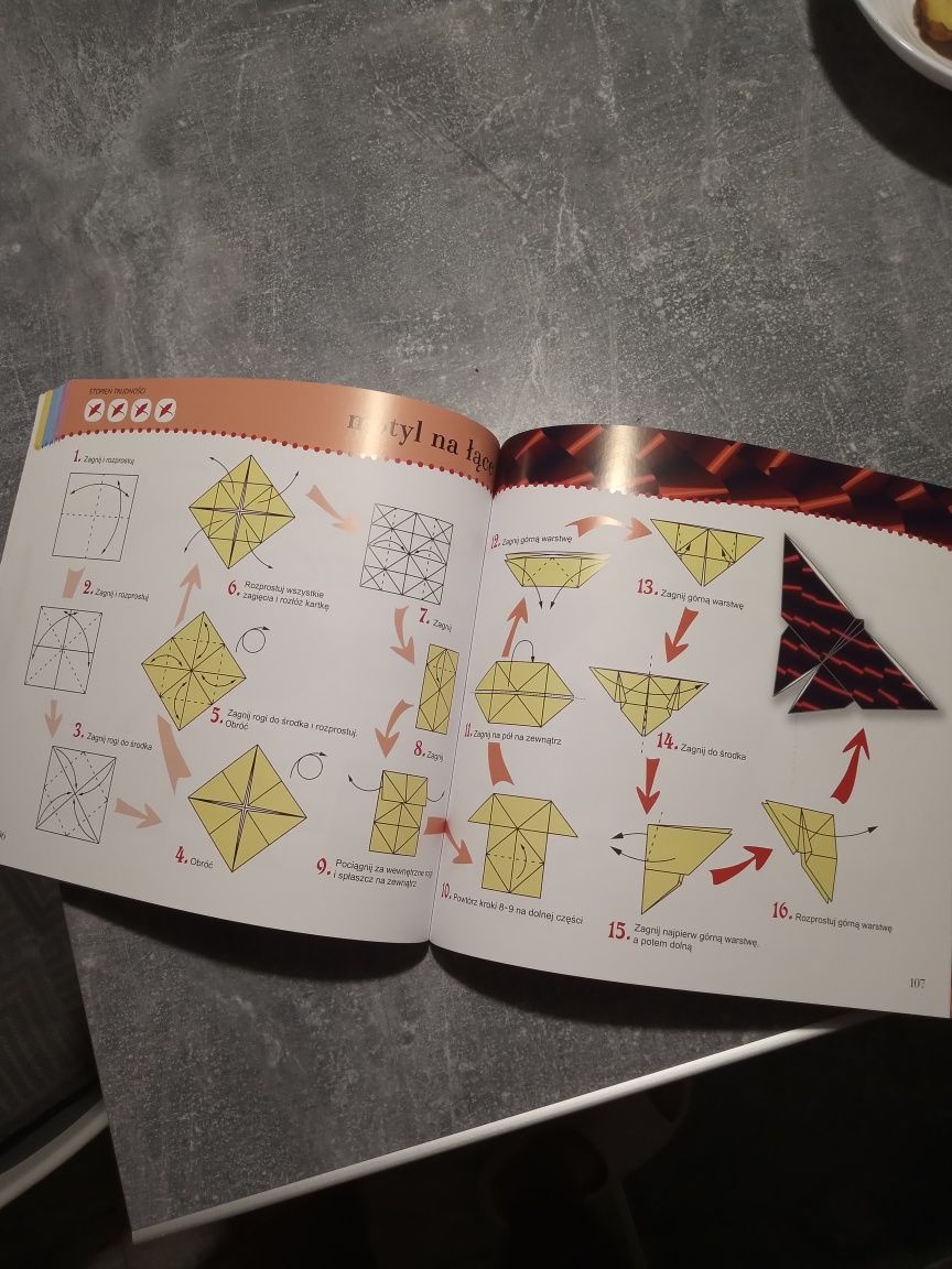 Książka Świat Origami