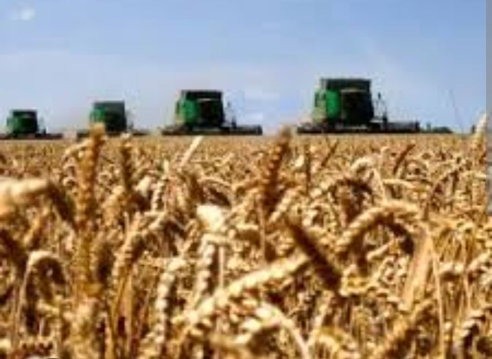 Продаж агропромислового комплексу