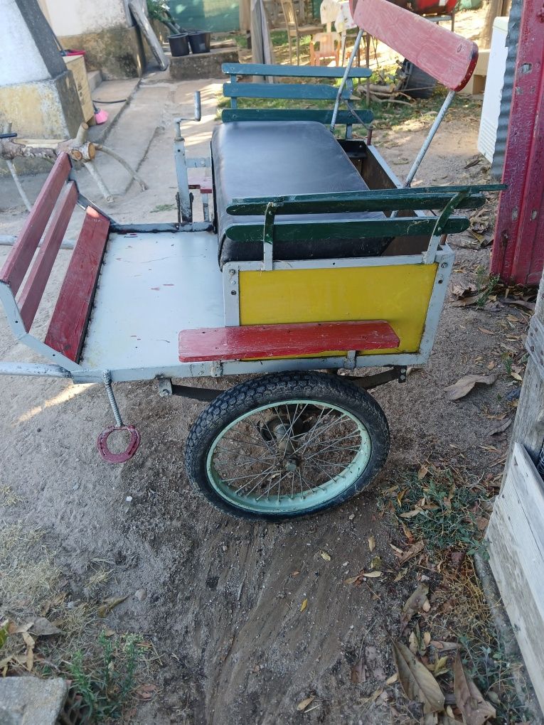 Vendo mini carroça para pónei com arreio e cabecada