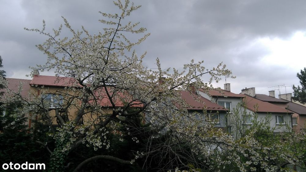 Skrajny segment dom Stradom szeregówka