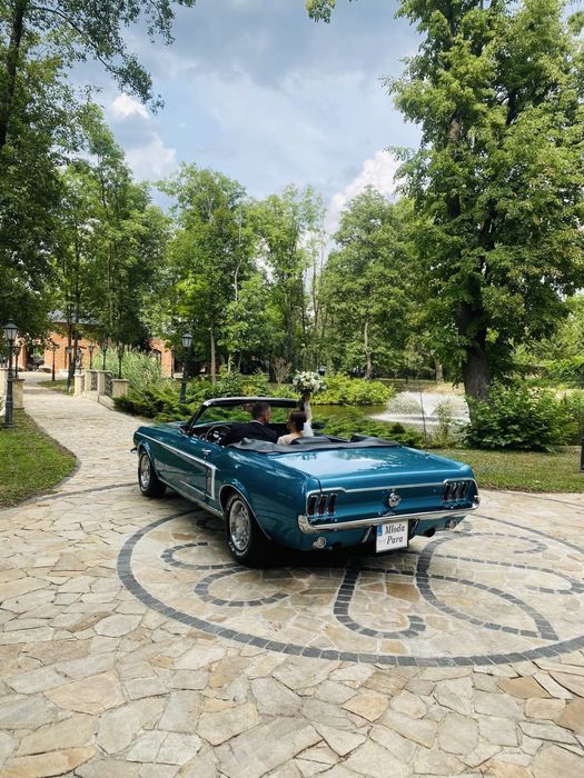 Auto do slubu MUSTANG 1967r. klasyk zabytek wynajem samochod cabrio