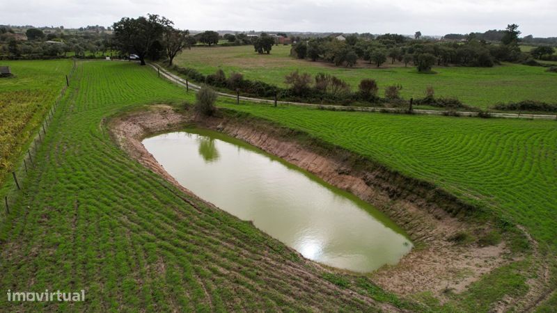 Terreno