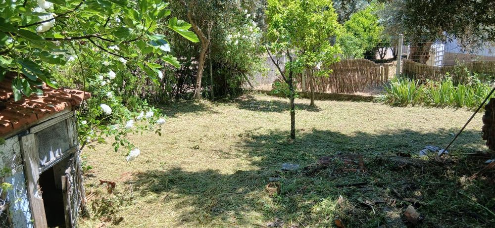 Limpeza de terrenos, jardins e quintais