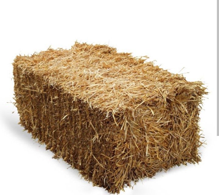 Продаю солому в тюках.