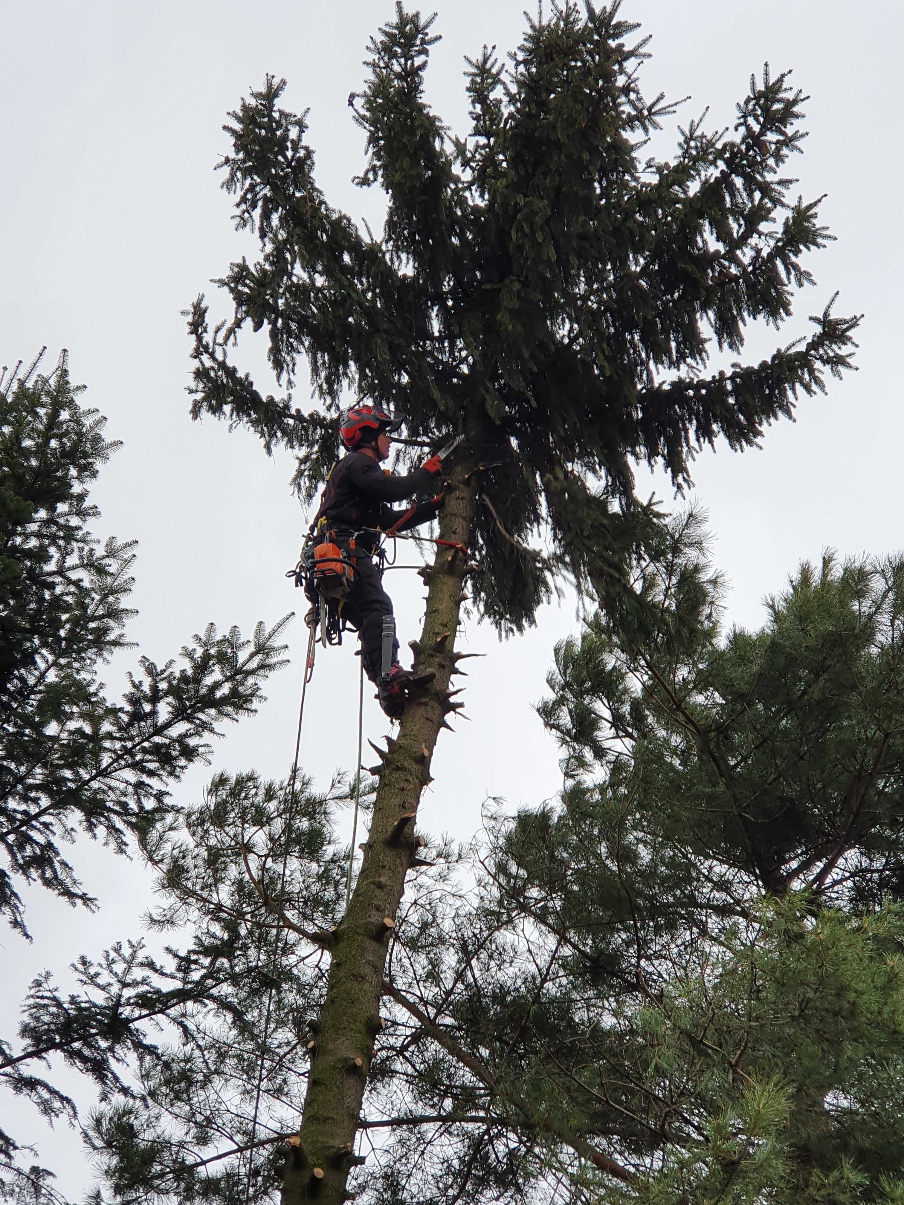 wycinka drzew trudnych,. Arborysta, usługi rębakiem. Rębak