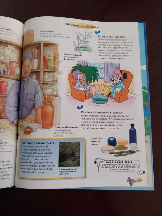 O Maravilhoso Mundo do Conhecimento, O Mundo Vegetal, Disney