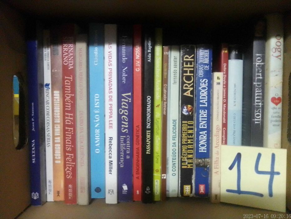 LOTE 14  -VENDIDOS EM SEPARADO - Livros Baratos - Vários Preços