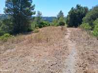 Terreno agrícola