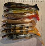 Z225 - duże gumy na szczupaka - Goby, Wolfcreek, hand-made - stan bdb