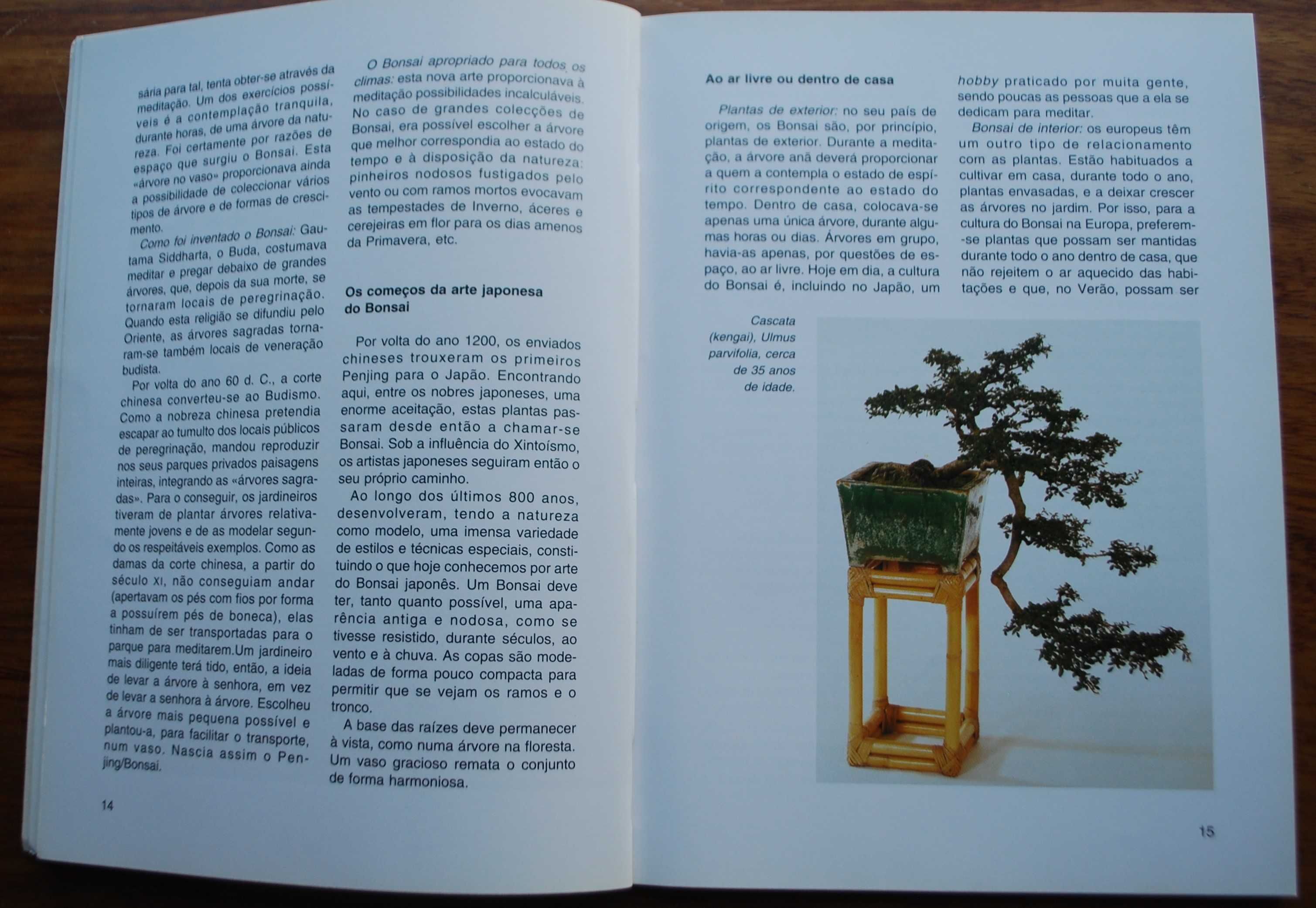Bonsai de Interior de Jochen Pfisterer
