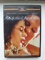 DVD orquídea selvagem