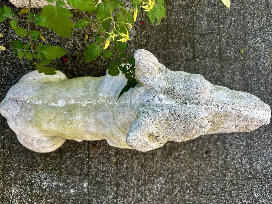 Rzeźba psa bullterier pies betonowa figurka do ogrodu sztuka