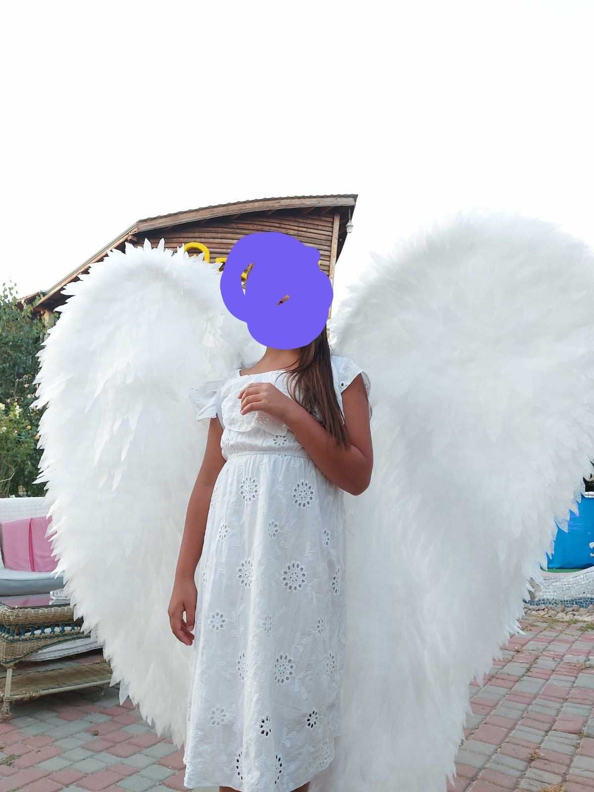 крылья Ангела белые, черные, розовые для фотосессий