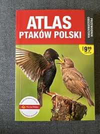 Atlas ptaków polski. Przewodnik obserwatora