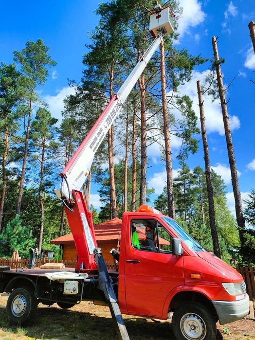 Usługi podnośnikiem koszowym zwyżka podnośnik koszowy wynajem 16-26m