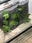 Terrarium dla gekona