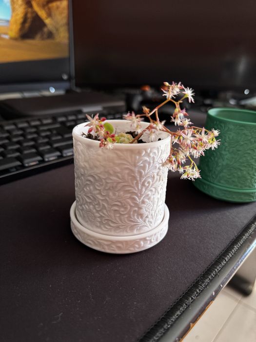 Vaso de planta Minimalista