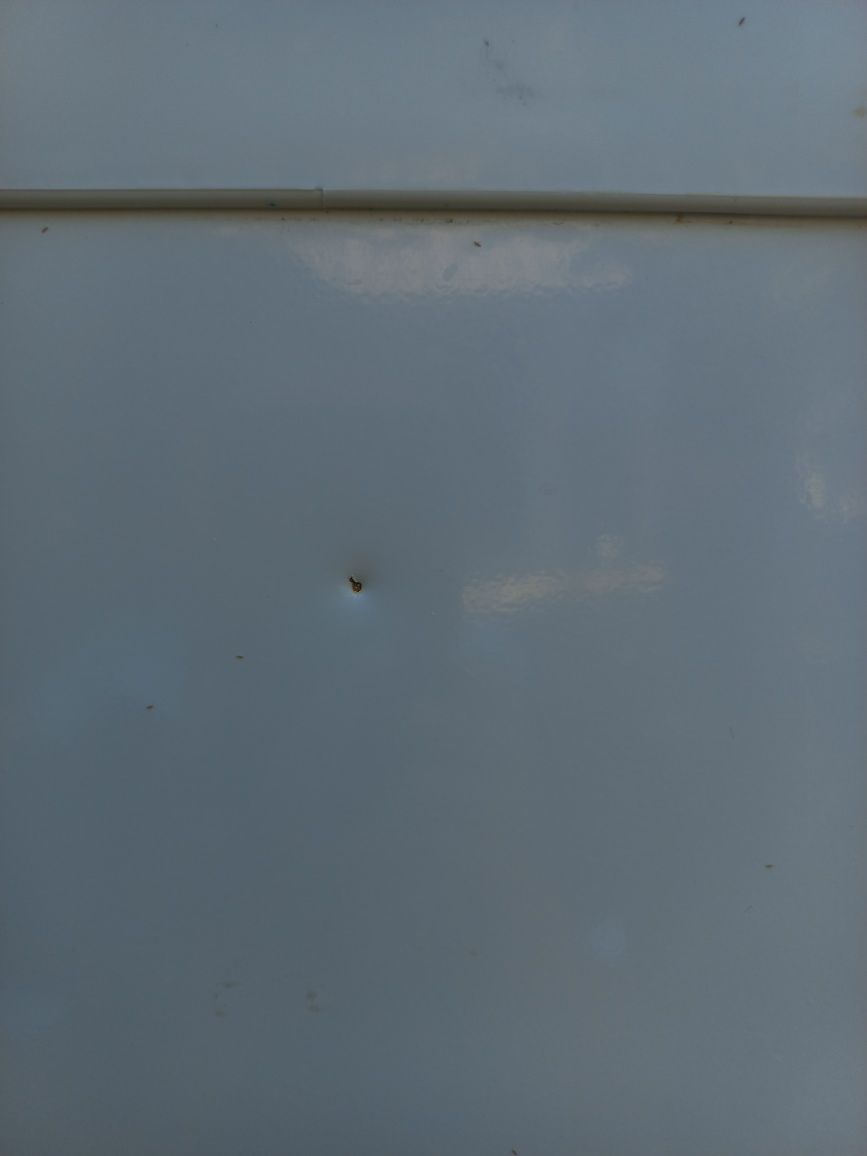 Холодильник з морозільною камерою ,привезений з Німеччини