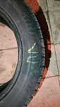 Шини зимні R16 205/55 Bridgestone Blizak