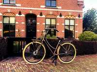Gazelle Puur.nl, rower damski holenderski